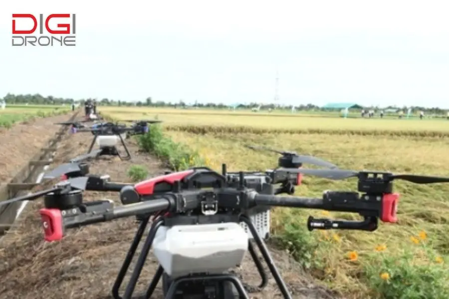 Kỹ thuật gieo hạt bằng Drone