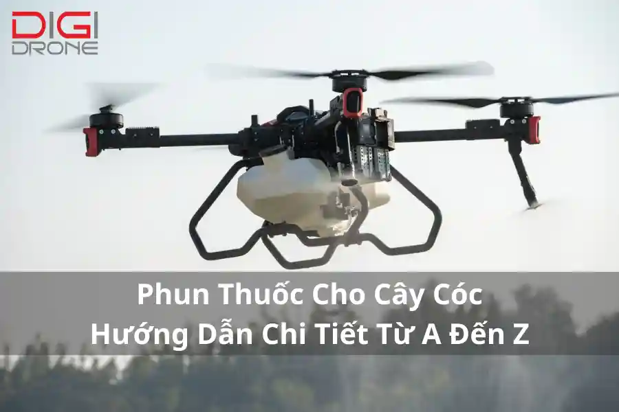 Phun Thuốc Cho Cây Cóc | Hướng Dẫn Chi Tiết Từ A Đến Z