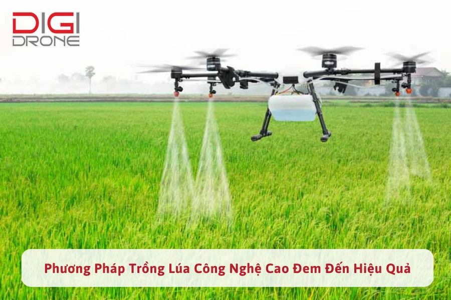 Phương Pháp Trồng Lúa Công Nghệ Cao Để Nâng Cao Năng Suất