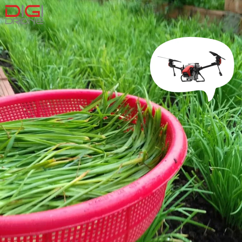 Kỹ thuật phun thuốc trừ sâu bằng drone