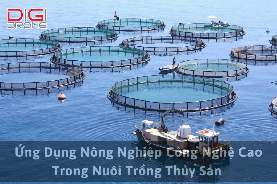 Ứng Dụng Nông Nghiệp Công Nghệ Cao Trong Nuôi Trồng Thủy Sản 