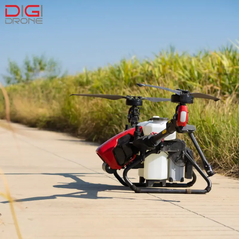 phun thuốc cho cây cóc phun thuốc cho cây cóc