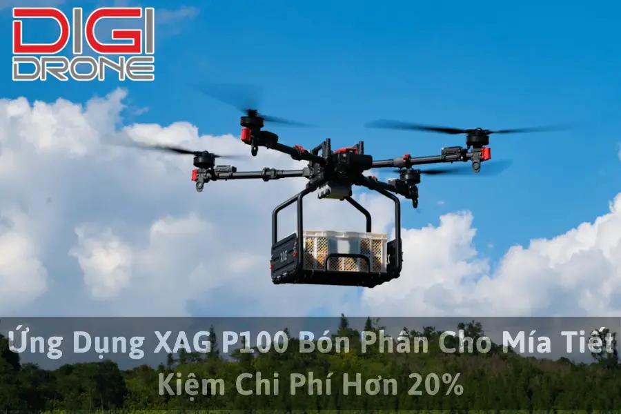 Ứng Dụng XAG P100 Bón Phân Cho Mía Tiết Kiệm Chi Phí Hơn 20%