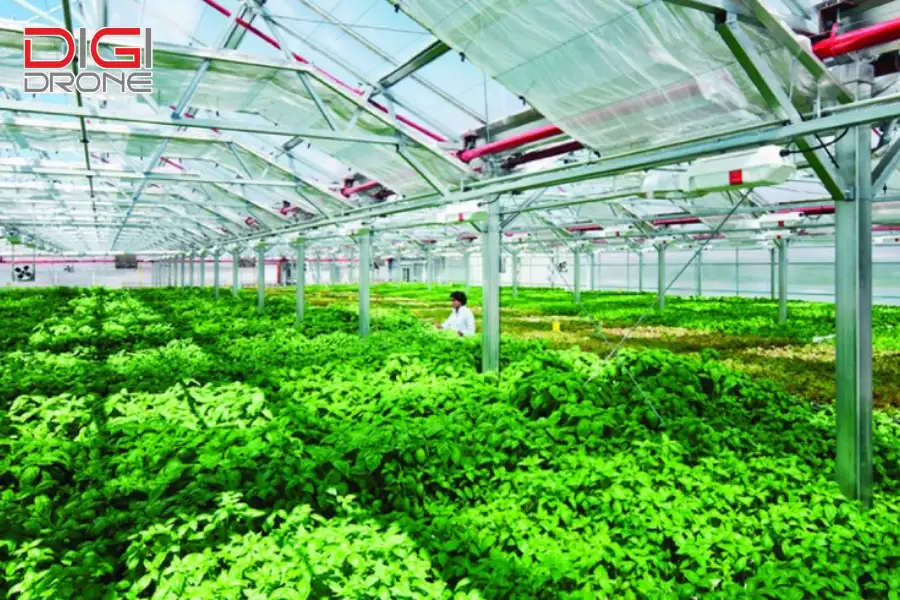 Tương lai của nông nghiệp