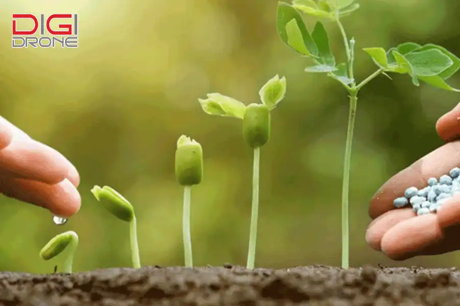 Lựa chọn phân NPK chất lượng và uy tín Lựa chọn phân NPK chất lượng và uy tín