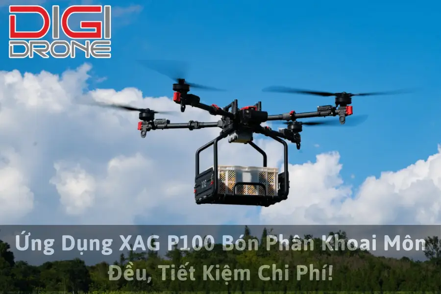 Ứng Dụng XAG P100 Bón Phân Khoai Môn Đều, Tiết Kiệm Chi Phí!