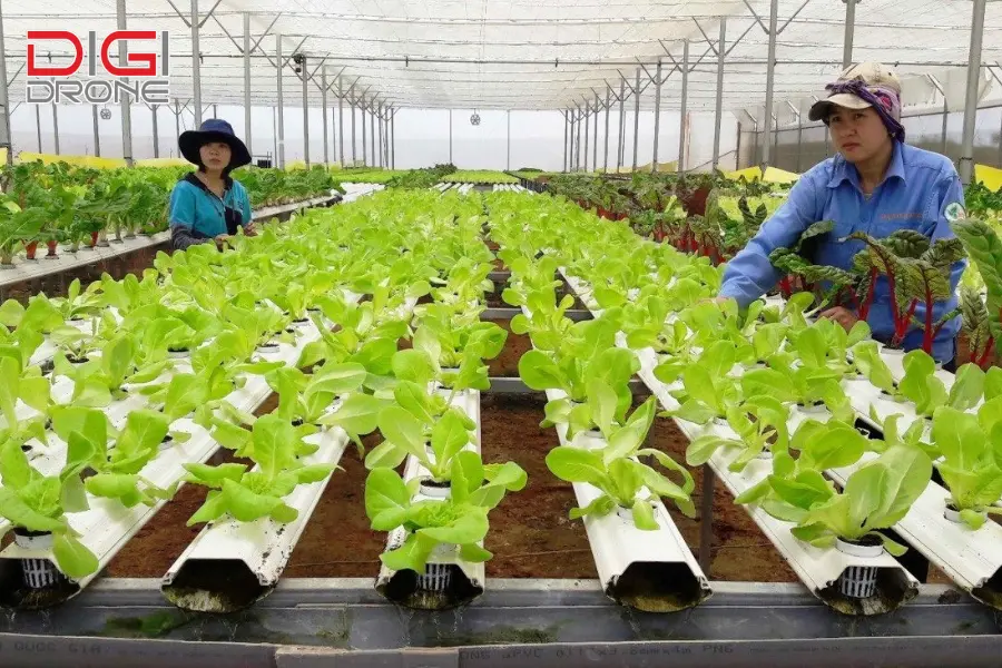 nông nghiệp công nghệ cao