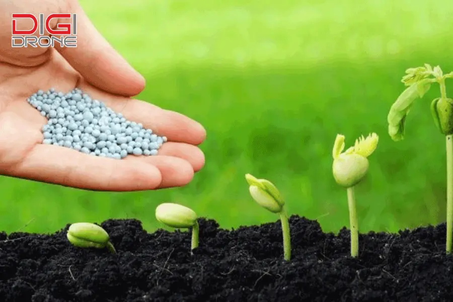 Những lưu ý quan trọng khi sử dụng phân bón lá