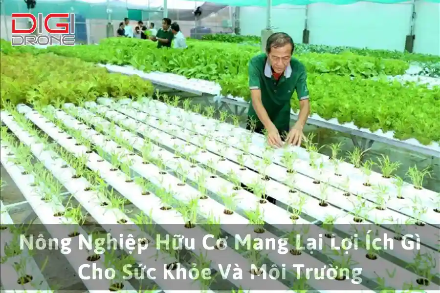 Nông Nghiệp Hữu Cơ Mang Lại Lợi Ích Gì Cho Sức Khỏe Và Môi Trường