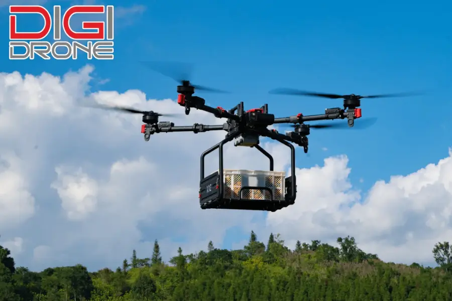 Những điều cần lưu ý khi ứng dụng XAG P100 bón phân khoai môn