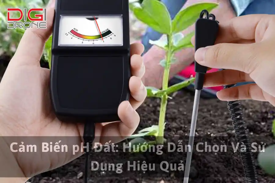 Cảm Biến pH Đất: Hướng Dẫn Chọn Và Sử Dụng Hiệu Quả