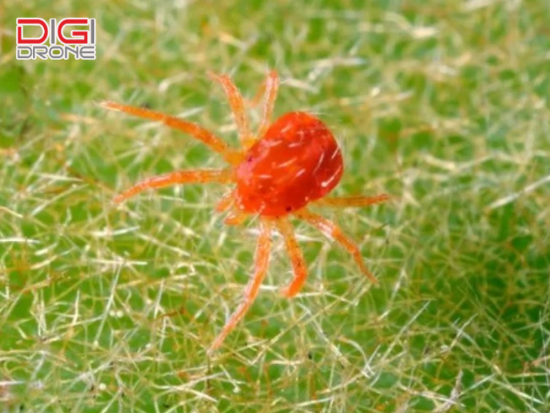 Biện pháp phòng ngừa và những lưu ý quan trọng