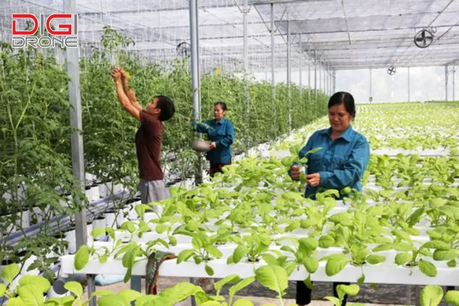ứng dụng công nghệ cao trong sản xuất nông nghiệp ứng dụng công nghệ cao trong sản xuất nông nghiệp