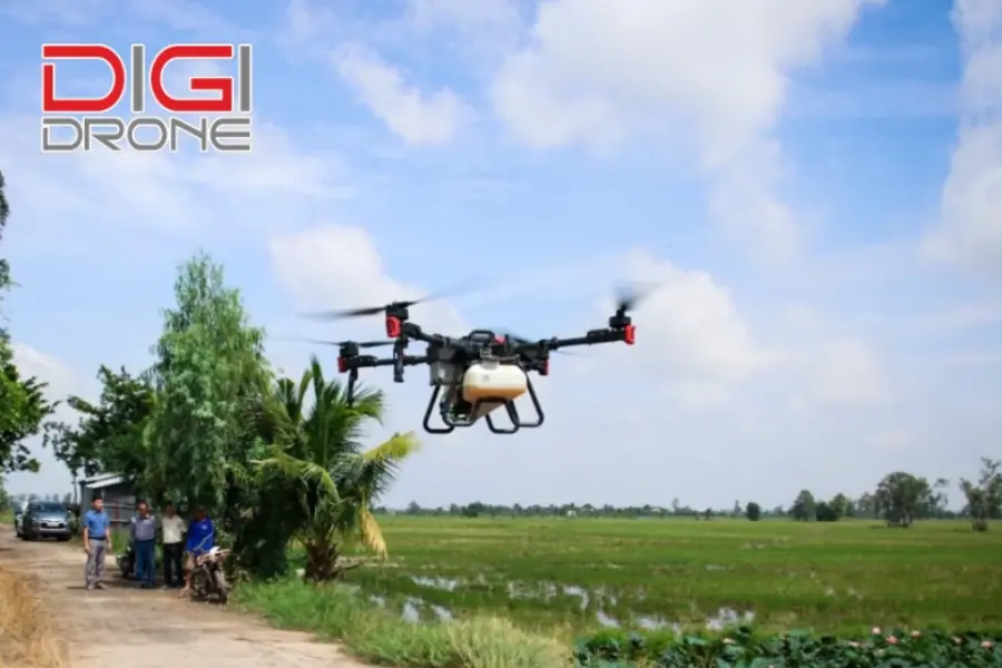 Những lợi ích khi bón phân đậu xanh bằng XAG P100