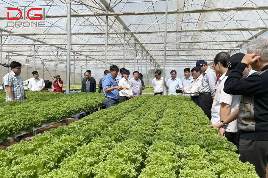 Thách thức khi chuyển đổi sang nông nghiệp sinh thái Thách thức khi chuyển đổi sang nông nghiệp sinh thái