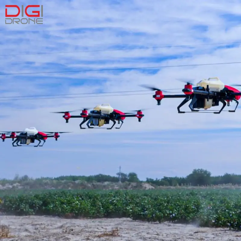 Cách pha chế và phun thuốc cho cây đu đủ đúng kỹ thuật Cách pha chế và phun thuốc cho cây đu đủ đúng kỹ thuật