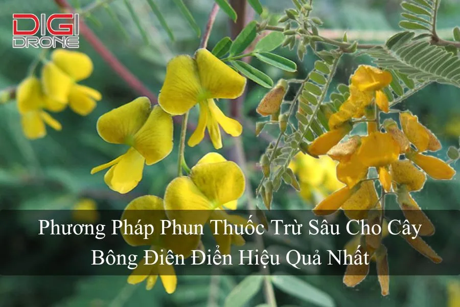 Phương Pháp Phun Thuốc Trừ Sâu Cho Cây Bông Điên Điển Hiệu Quả Nhất