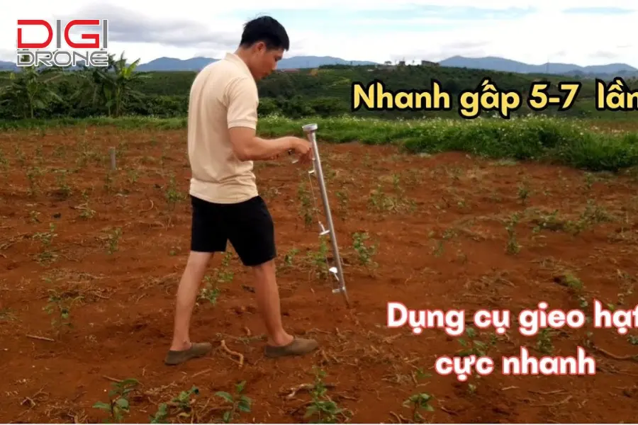 phương pháp gieo hạt bạch đàn