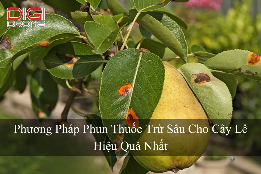 Phương Pháp Phun Thuốc Trừ Sâu Cho Cây Lê Hiệu Quả Nhất