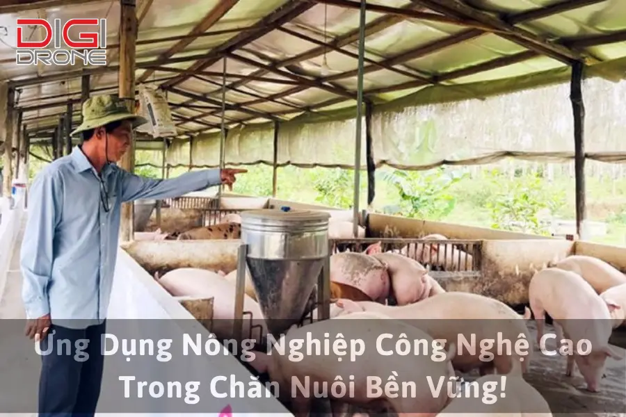 Ứng Dụng Nông Nghiệp Công Nghệ Cao Trong Chăn Nuôi Bền Vững!