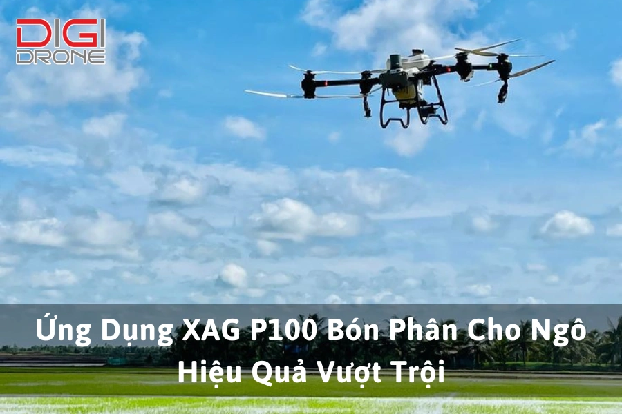 Ứng Dụng XAG P100 Bón Phân Cho Ngô (Bắp) Hiệu Quả Vượt Trội