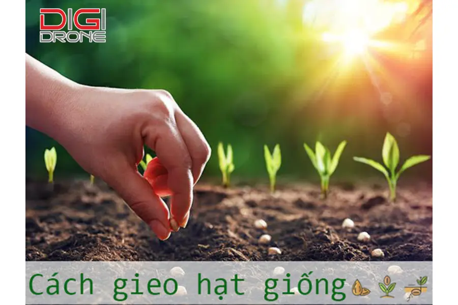 Phương pháp gieo hạt truyền thống