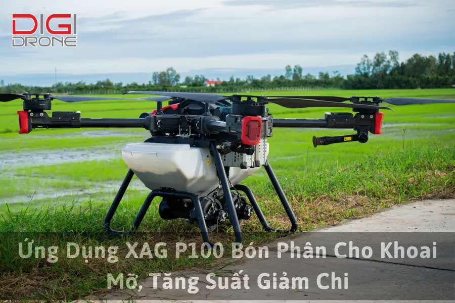 Ứng Dụng XAG P100 Bón Phân Cho Khoai Mỡ, Tăng Suất Giảm Chi
