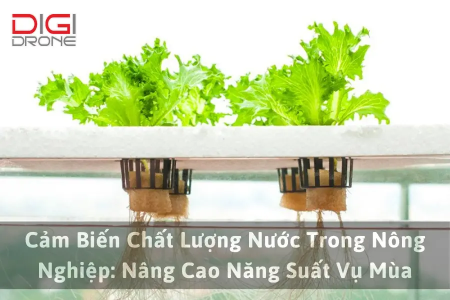 Cảm Biến Chất Lượng Nước Trong Nông Nghiệp: Nâng Cao Năng Suất Vụ Mùa