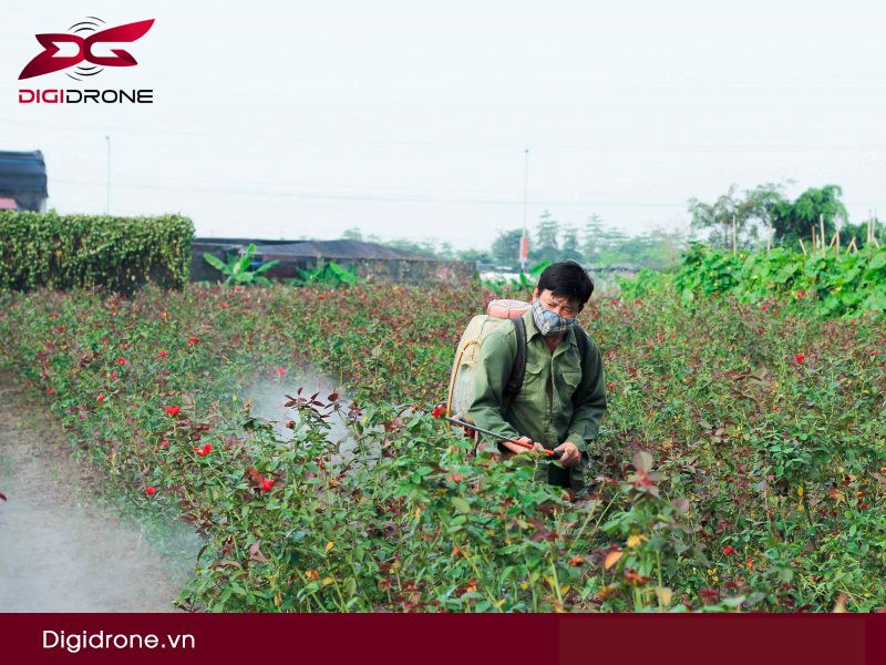 Súng phun thuốc trừ sâu Nhật Bản