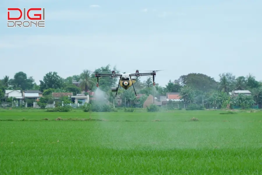 Sử dụng drone bón phân