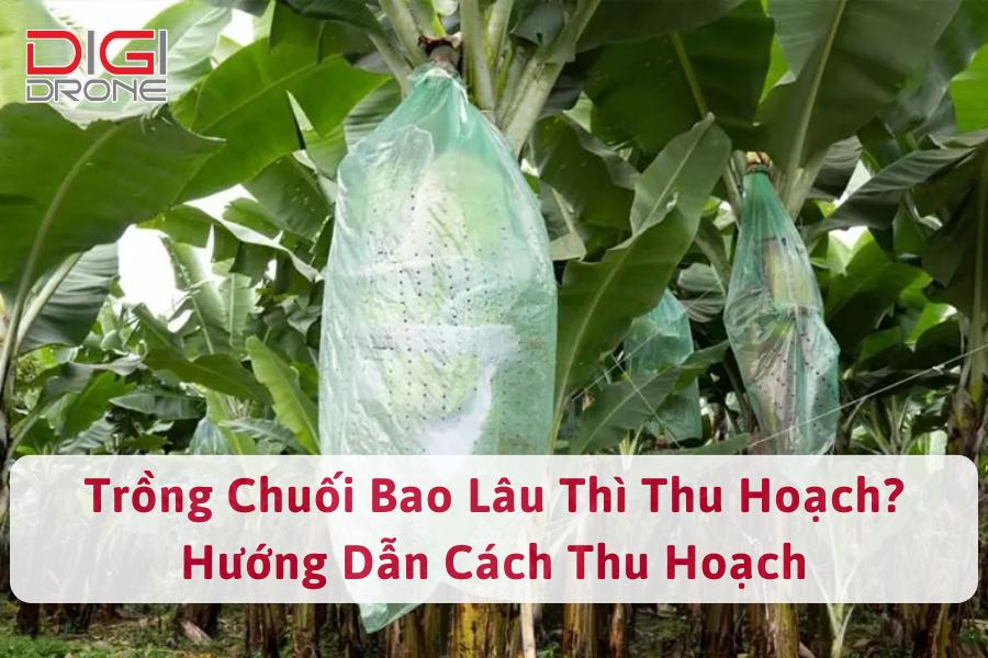 VII. Kết luận