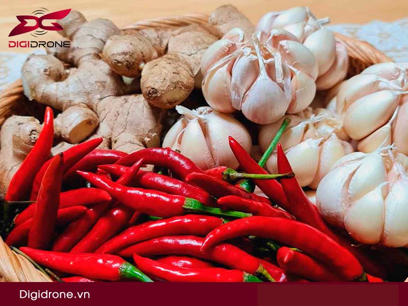 Cách làm thuốc trừ sâu sinh học từ tỏi, ớt