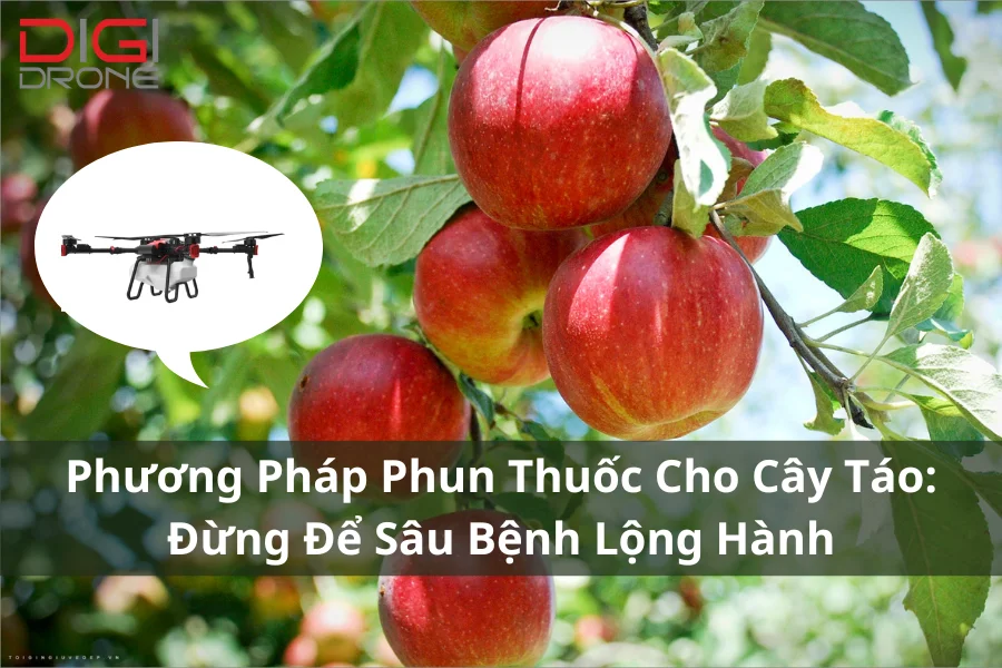 Phương Pháp Phun Thuốc Cho Cây Táo: Đừng Để Sâu Bệnh Lộng Hành