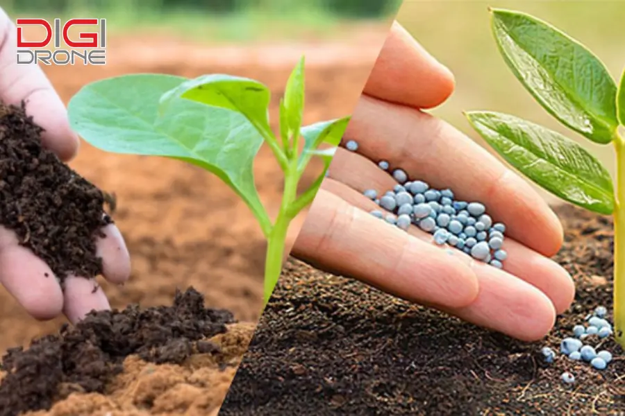 Bón lá và bón gốc: Đâu là lựa chọn phù hợp?