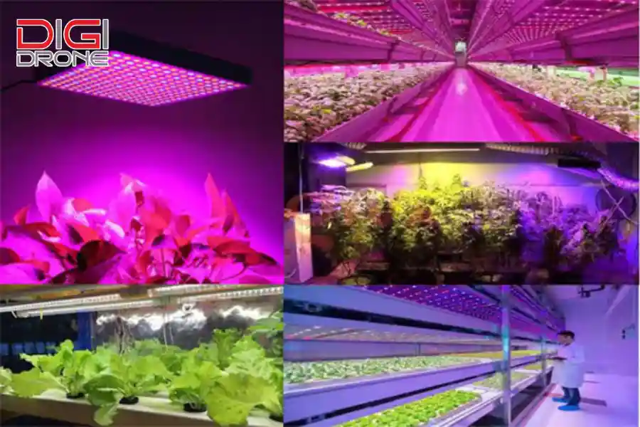 ứng dụng đèn led trong nông nghiệp