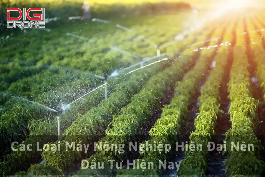 Nông Nghiệp Sinh Thái Là Gì? 5 Nguyên Tắc Vàng Bền Vững