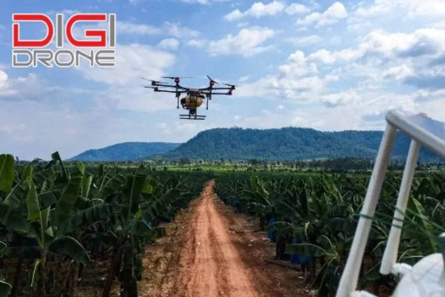 Tương lai của nông nghiệp 4.0 tại Việt Nam