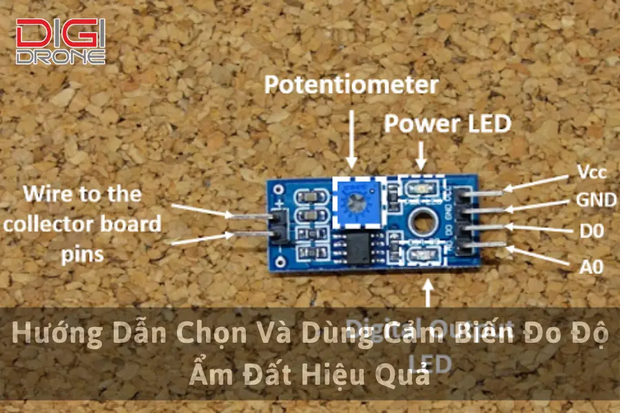 Hướng Dẫn Chọn Và Dùng Cảm Biến Đo Độ Ẩm Đất Hiệu Quả