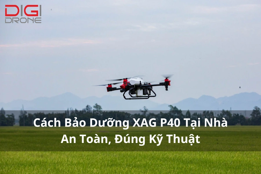 Cách Bảo Dưỡng XAG P40 Tại Nhà An Toàn, Đúng Kỹ Thuật