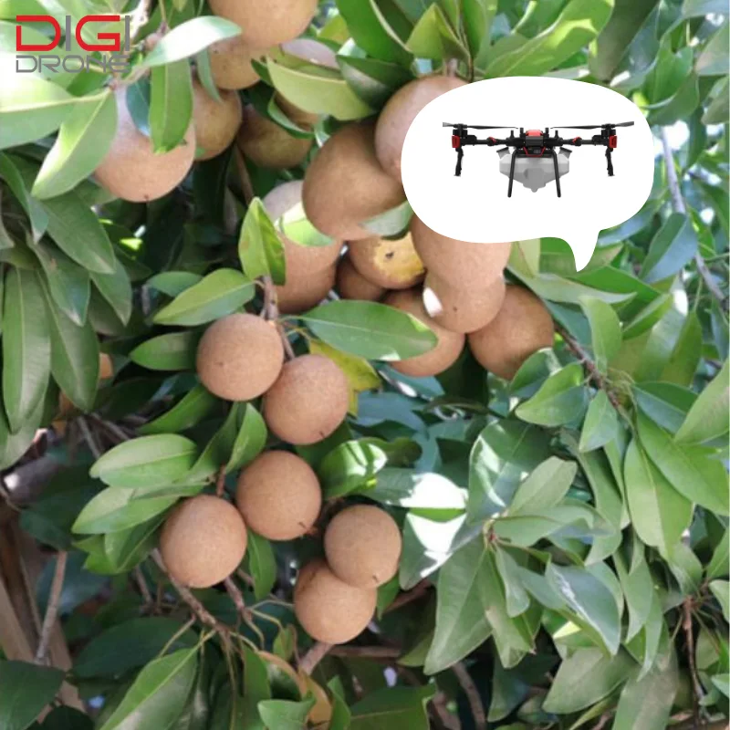 Phương pháp phun thuốc trừ sâu bằng Drone