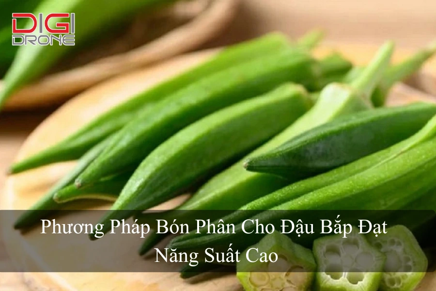 Phương Pháp Bón Phân Cho Đậu Bắp Đạt Năng Suất Cao