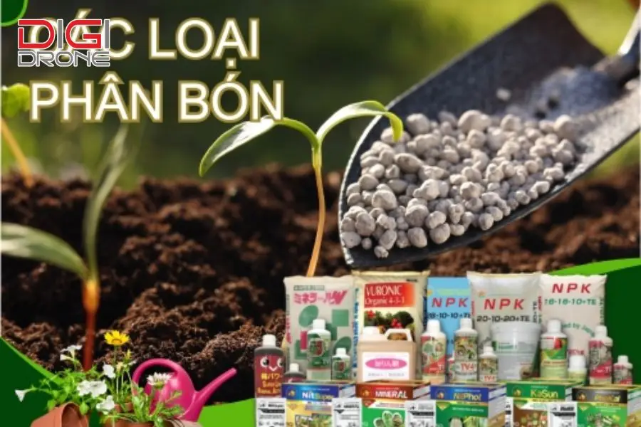 Các loại phân bón thường dùng cho cây me