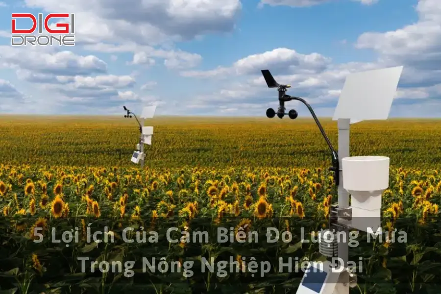 5 Lợi Ích Của Cảm Biến Đo Lượng Mưa Trong Nông Nghiệp Hiện Đại