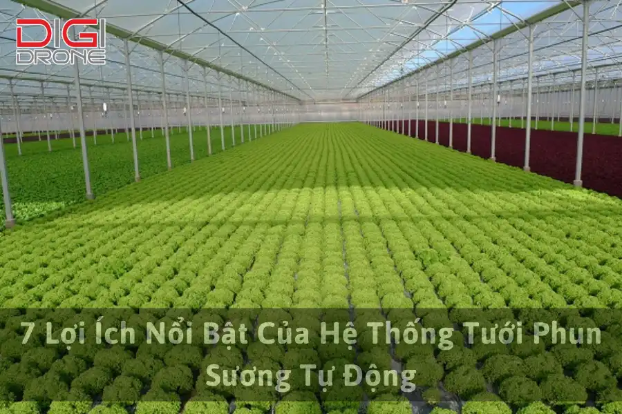 7 Lợi Ích Nổi Bật Của Hệ Thống Tưới Phun Sương Tự Động