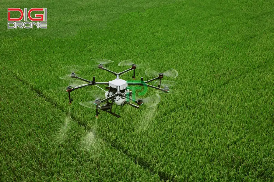 Sử dụng drone bón phân