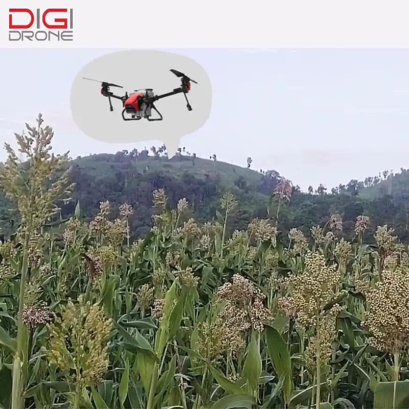 Kỹ thuật phun thuốc trừ sâu bằng drone