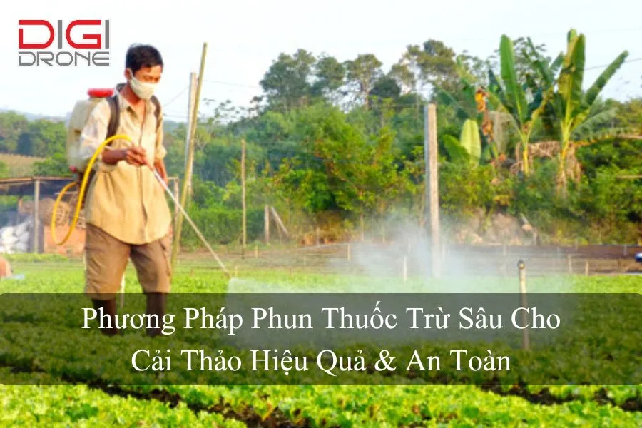 Phương Pháp Phun Thuốc Trừ Sâu Cho Cải Thảo Hiệu Quả & An Toàn