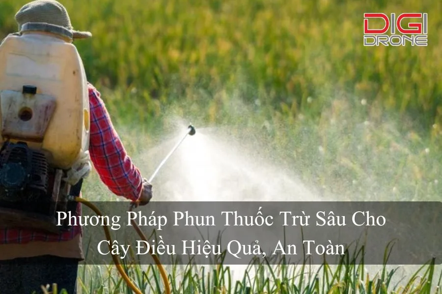 Phương Pháp Phun Thuốc Trừ Sâu Cho Cây Điều Hiệu Quả, An Toàn