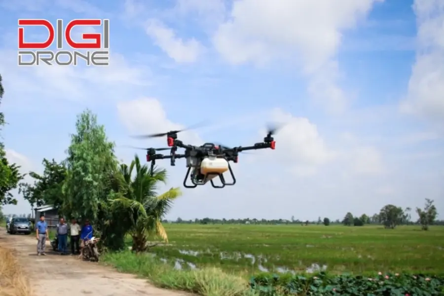 Công nghệ cao mang lại những lợi ích gì cho ngành nông nghiệp? Công nghệ cao mang lại những lợi ích gì cho ngành nông nghiệp?