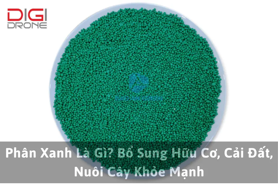 Phân Xanh Là Gì? Bổ Sung Hữu Cơ, Cải Đất, Nuôi Cây Khỏe Mạnh